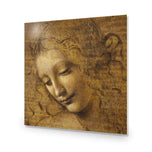 The Head of a Woman by Leonardo da Vinci