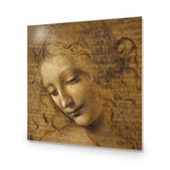 The Head of a Woman by Leonardo da Vinci