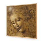 The Head of a Woman by Leonardo da Vinci