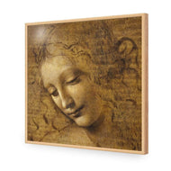 The Head of a Woman by Leonardo da Vinci