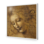 The Head of a Woman by Leonardo da Vinci