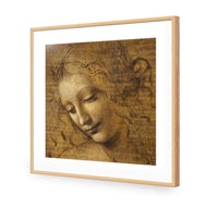 The Head of a Woman by Leonardo da Vinci