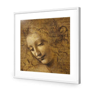 The Head of a Woman by Leonardo da Vinci
