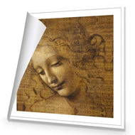 The Head of a Woman by Leonardo da Vinci