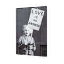 Street Art - Banksy&#39;s Einstein Love is the Answer
