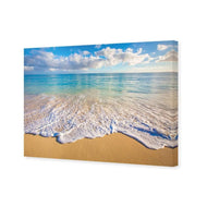 Hawaiian Shores
