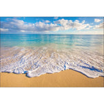 Hawaiian Shores