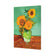 Sunflower On Green