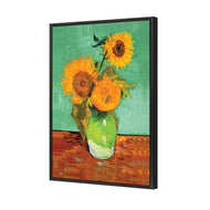 Sunflower On Green