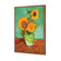 Sunflower On Green