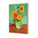 Sunflower On Green