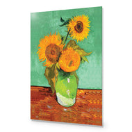 Sunflower On Green