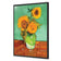 Sunflower On Green
