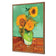 Sunflower On Green