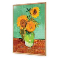 Sunflower On Green