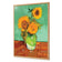 Sunflower On Green