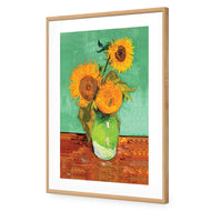Sunflower On Green