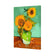 Sunflower On Green