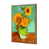 Sunflower On Green