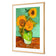 Sunflower On Green