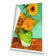 Sunflower On Green