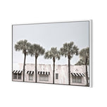 Miami Palms