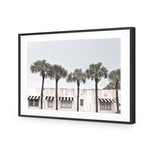 Miami Palms