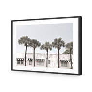 Miami Palms