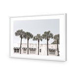 Miami Palms