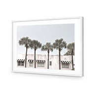 Miami Palms