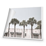 Miami Palms