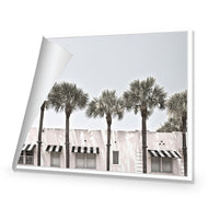Miami Palms