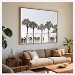 Miami Palms
