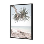 Pandanus in the Sky