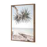 Pandanus in the Sky