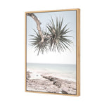 Pandanus in the Sky