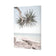 Pandanus in the Sky