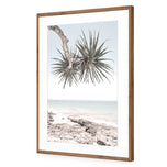 Pandanus in the Sky