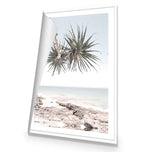 Pandanus in the Sky
