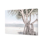 Pandanus at the Beach