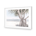 Pandanus at the Beach
