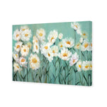 Shade of Daisy