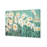 Shade of Daisy