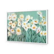 Shade of Daisy