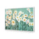 Shade of Daisy