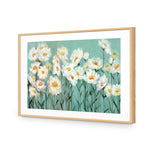 Shade of Daisy