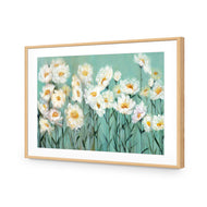 Shade of Daisy