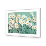 Shade of Daisy