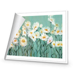 Shade of Daisy