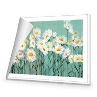 Shade of Daisy